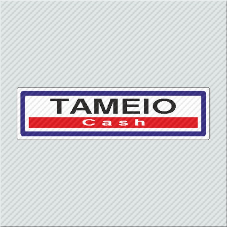 ΤΑΜΕΙΟ / CASH