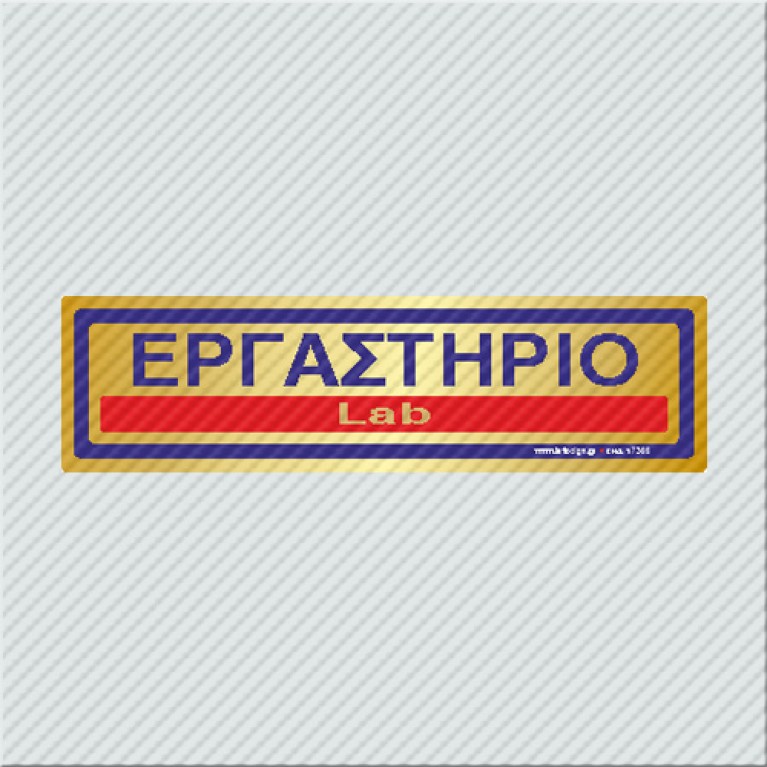 ΕΡΓΑΣΤΗΡΙΟ / LAB