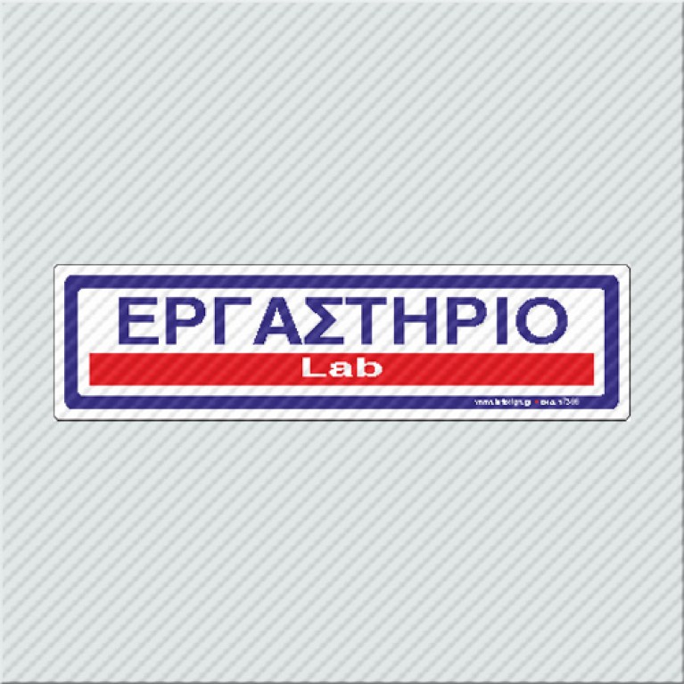 ΕΡΓΑΣΤΗΡΙΟ / LAB