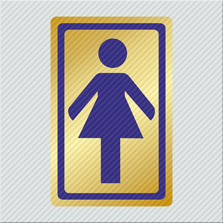 ΤΟΥΑΛΕΤΑ ΓΥΝΑΙΚΩΝ / WC WOMEN