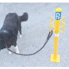 ΚΟΛΩΝΑΚΙ ΓΙΑ ΠΑΡΚΙΝΓΚ ΚΑΤΟΙΚΙΔΙΩΝ ΜΕ 4 ΓΑΤΖΟΥΣ